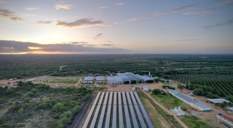 Vista aérea da usina solar da Agrodan ao lado do packing house