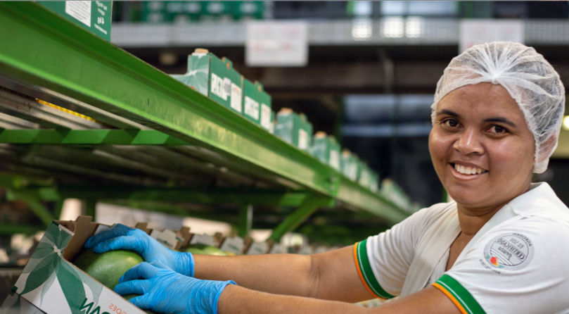 Colaboradora selecionando mangas no packing house da Agrodan