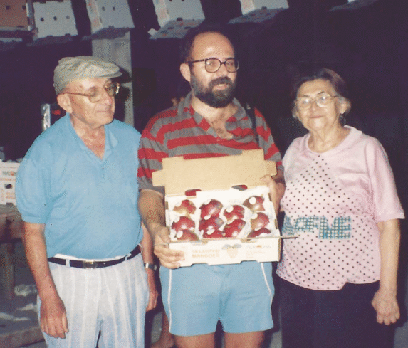 Captura de tela 2025-07-21 142124